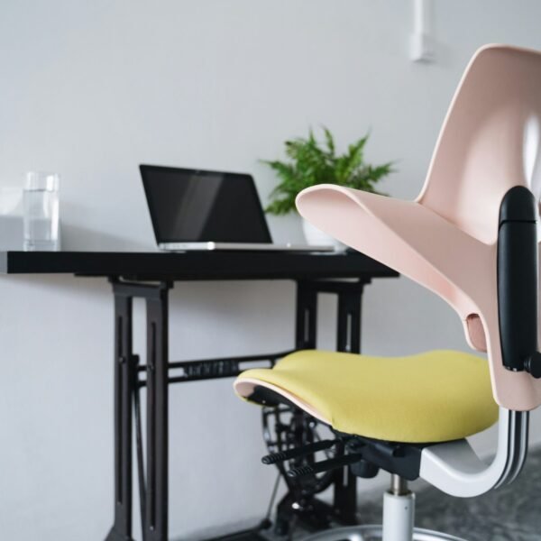 Ergonomic Chair